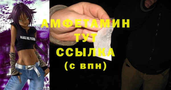 молекула духа Нягань