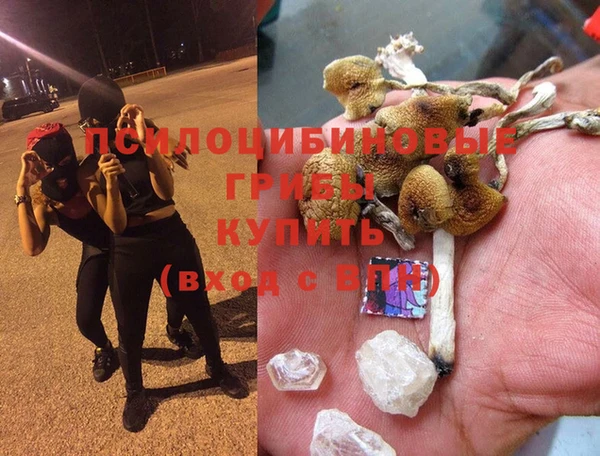прущая мука Няндома
