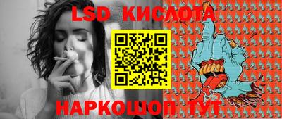 сатива Краснодар