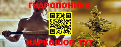 сатива Краснодар