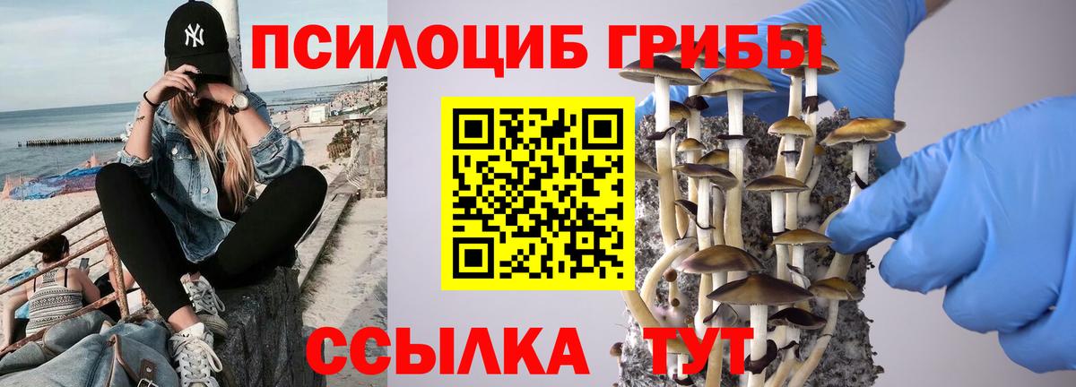 Галлюциногенные грибы Psilocybe  цены   Саки  Вход с VPN  Галлюциногенные грибы Psilocybe 